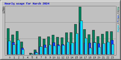 Hourly usage for March 2024