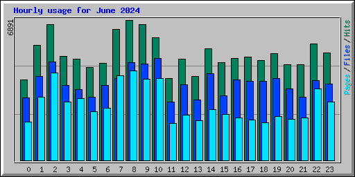 Hourly usage for June 2024