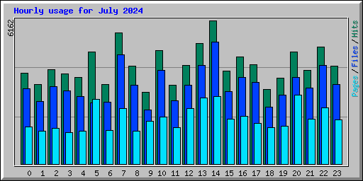 Hourly usage for July 2024