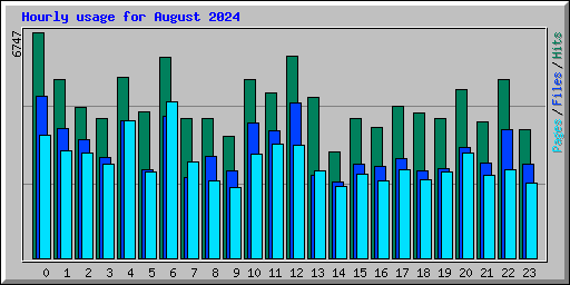 Hourly usage for August 2024