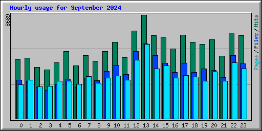 Hourly usage for September 2024