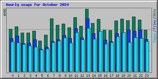 Hourly usage for October 2024