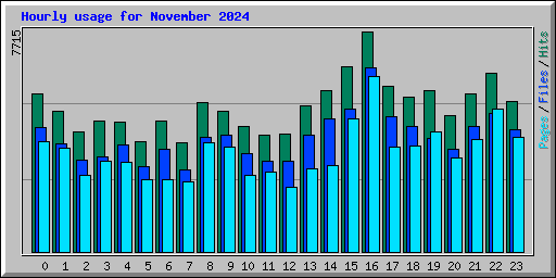 Hourly usage for November 2024