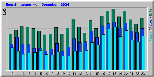 Hourly usage for December 2024