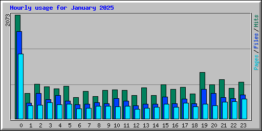 Hourly usage for January 2025